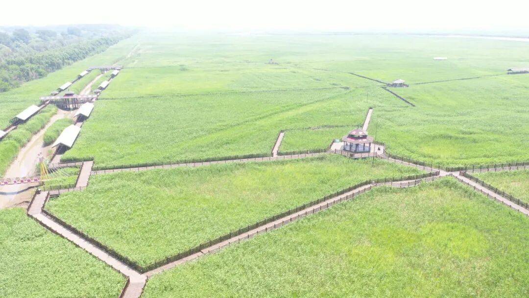 品路线——遇见更“红”的盘锦！开元棋牌“双节”假期来盘游玩精(图2)