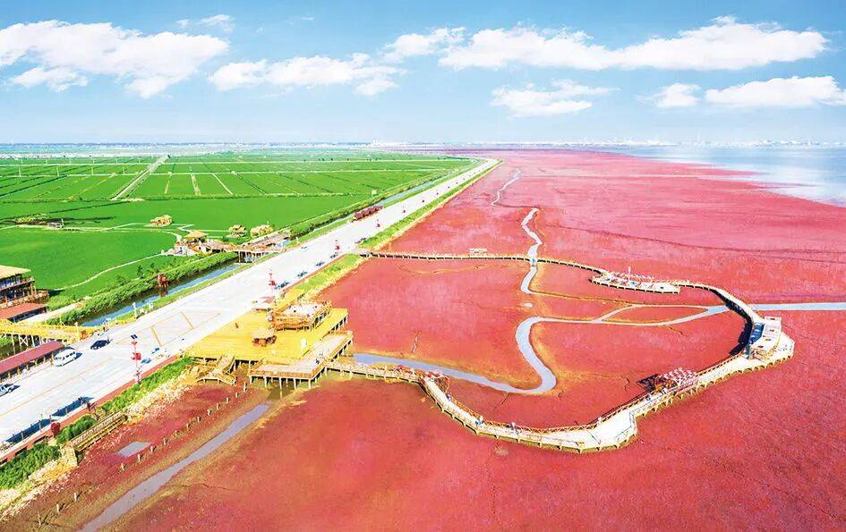 品路线——遇见更“红”的盘锦！开元棋牌“双节”假期来盘游玩精(图7)